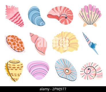 Tropical seashell. Cartoon clam, oyster and scallop shells. Vector of seashell sea underwater illustration Stock Vector