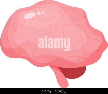 Brain. Human organ central nervous system. Vector illustration in flat cartoon style Stock Vector