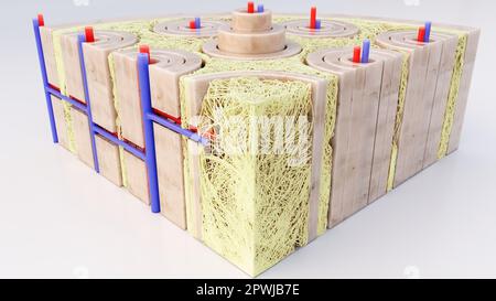 Bone tissue closeup through a cross section of a bone - -3D rendering ...