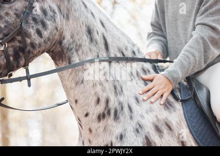 When riding a horse, we borrow freedom. an unrecognizable woman riding her horse outside Stock Photo