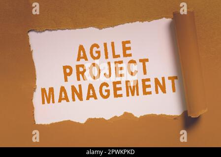 project management processes
