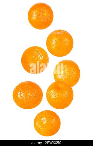 Isolated flying fruit. Seven pieces of falling ginger root on white background with clipping path as package design element and advertising. Full dept Stock Photo