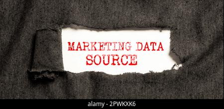 Text showing inspiration Marketing Data Source, Internet Concept connection set up to a database from a server Stock Photo