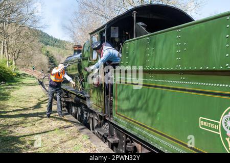 A steam gala on the Llangollen Railway Stock Photo