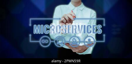 Text showing inspiration Microservices, Word Written on Software development technique Building single function module Stock Photo