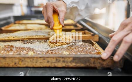 Honey frame, hands and harvest tool for uncapping beeswax at factory farm. Farming worker, beekeeping industry and person harvesting natural, organic Stock Photo