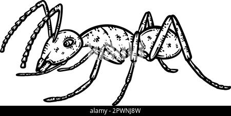 Ant Animal Coloring Page for Adults Stock Vector