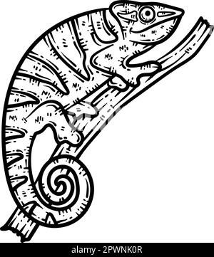 a color of his own chameleon coloring page