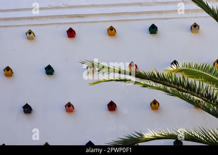 Colorful bird houses hanged on a white wall in sunny summer day outdoor behing the palm tree in a sunny summer day Stock Photo