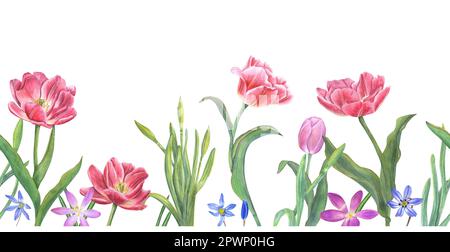 Floral seamless horizontal border with pink tulips, daffodils, crocuses, scillas isolated on white background. Spring illustration for fabric, textile Stock Photo