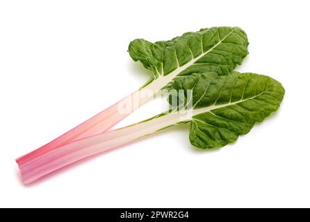 Fresh swiss chard isolated on white background Stock Photo