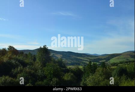 Fragment of the mountainous terrain in the Carpathians, Ukraine. The forest is forgiven by the reliefs of the Carpathian Mountains Stock Photo