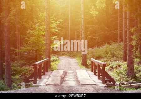 A small short bridge across the river for driving cars in the middle of the forest Stock Photo