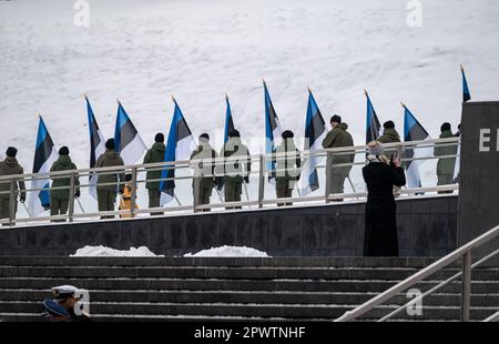 Young Estonians holding their flags on the top of the main square in Tallinn during the independence day celebration, accompanied by a military parade Stock Photo