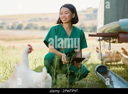 Woman, veterinary worker or tablet on chicken farm in medical research, hormone medicine study or healthcare wellness check. Smile, happy or asian ani Stock Photo