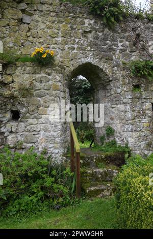 Steps and arch through stone wall Stock Photo