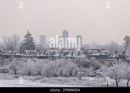 winter landscape