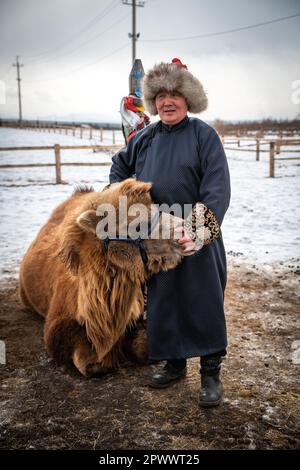 Naryn-Atsagat zone, near Oulan Oude (ulan ude), Siberia, Russia - Mars 09, 2020 : A Buryat man in a traditional costume with his camel. Stock Photo