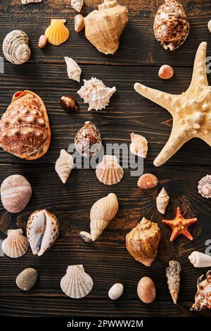 Set of different Seashells and starfish on dark wooden background, flat lay, top view. Summer time, sea vacation, travel concept Stock Photo