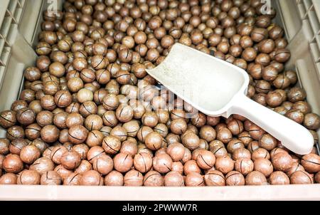 Unpeeled macadamia nuts are sold in a store close up Stock Photo