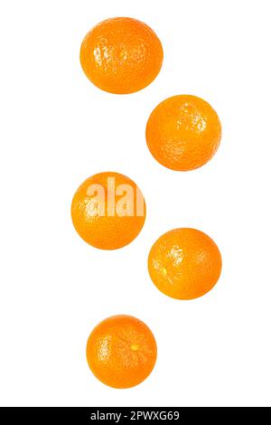 Isolated flying fruit. Five pieces of falling ginger root on white background with clipping path as package design element and advertising. Full depth Stock Photo