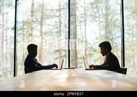 Outlines of two young intercultural white collar workers typing on laptop keyboard while sitting in front of one another against office window Stock Photo