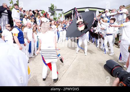 Padstow Cornwall UK 05 01 2023 Obby Oss festival or Hobby Horse Stock ...