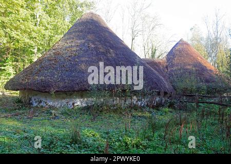 Roundhouses at the Celtic Village exhibition, St Fagans Museum, Cardiff. Taken 2023 Stock Photo