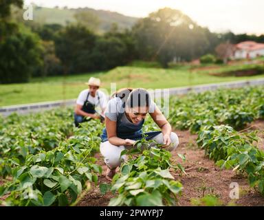 Making sure their fields are well kept. an attractive young woman working on the family farm with her husband in the background Stock Photo