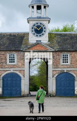 A visitor and dog at Dunham Massey Hall and Gardens, Altrincham, is finding things to do in Cheshire.  Visit Manchester on the Bank Holiday weekend Stock Photo