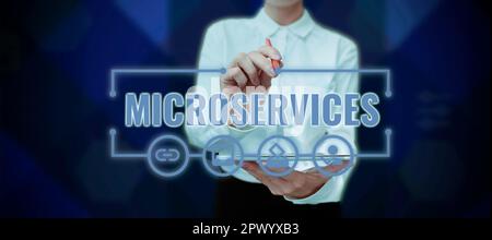 Text showing inspiration Microservices, Word Written on Software development technique Building single function module Stock Photo