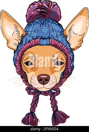 Vector sketch of cartoon hipster cute dog Chihuahua breed in knitted hat and scarf Stock Vector