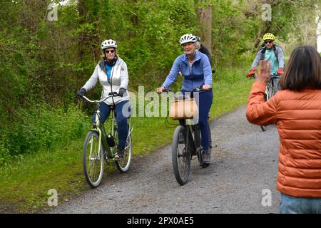 Two senior couples ride bicycles along the Virginia Creeper Trail in Abingdon, Virginia. Stock Photo