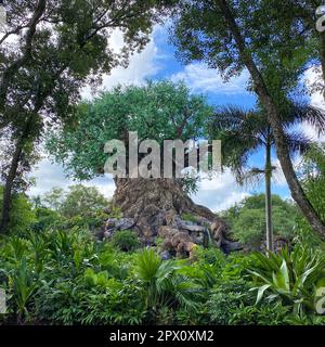 Orlando, FL USA -July 18, 2020: The Tree of Life at Animal Kingdom at  Walt Disney World  in Orlando, Florida. Stock Photo