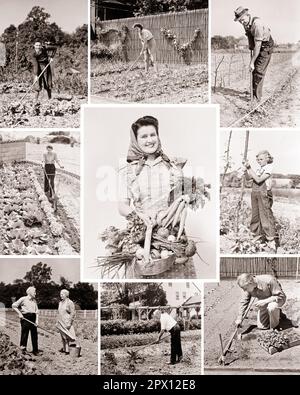 1930s 1940s MONTAGE MEN WOMEN KIDS HOME AND FARM VEGETABLE GARDENING - m3474 HAR001 HARS TEAMWORK JOY LIFESTYLE SATISFACTION CONFLICT ELDER FEMALES WW2 RURAL HOME LIFE COPY SPACE FULL-LENGTH HALF-LENGTH LADIES PERSONS INSPIRATION MALES TEENAGE GIRL TEENAGE BOY RETIREMENT SENIOR MAN SENIOR ADULT MIDDLE-AGED AGRICULTURE B&W MIDDLE-AGED MAN EYE CONTACT SENIOR WOMAN FREEDOM GOALS HARVESTING RETIREE OLD AGE MIDDLE-AGED WOMAN OLDSTERS OLDSTER VICTORY COMPOSITE LEADERSHIP WORLD WARS PRIDE WORLD WAR WORLD WAR TWO WORLD WAR II ELDERS CONCEPTUAL GARDENS SUPPORT TEENAGED WORLD WAR 2 COOPERATION CROPS Stock Photo