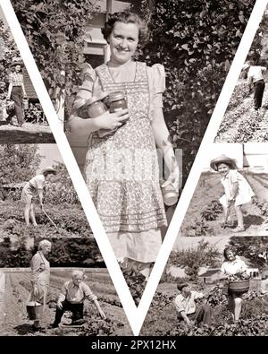 1940s MONTAGE OF SENIOR MEN AND WOMEN AND KIDS GROWING FOOD IN WORLD WAR 2 VICTORY GARDENS - m4517 HAR001 HARS PERSONS INSPIRATION CARING MALES CONFIDENCE AGRICULTURE B&W EYE CONTACT FREEDOM GOALS SUCCESS ADVENTURE STRENGTH VICTORY STRATEGY AND EXTERIOR LEADERSHIP PROGRESS PRIDE IN OF OPPORTUNITY CONCEPTUAL GARDENS WORLD WAR 2 CREATIVITY GROWTH SOLUTIONS BLACK AND WHITE CAUCASIAN ETHNICITY HAR001 OLD FASHIONED Stock Photo
