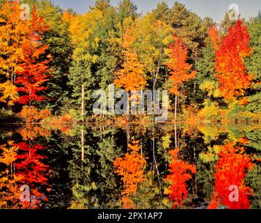 1990s COLORFUL AUTUMN TREES REFLECTED IN RED EAGLE POND ALBANY NEW HAMPSHIRE USA - kl18387 SEB001 HARS COLORFUL REFLECT SHORE BRIGHT ENVIRONMENT LEAF OAK NORTHEAST FOLIAGE NATURAL RESOURCE ALBANY NATURAL RESOURCE ECOLOGY CALM OCTOBER PLEASANT VISTA C ECOLOGICAL LAKE SHORE MULTICOLORED NEW ENGLAND REFLECTED REST SCENICS SEASON SMOOTH WOODLAND NEW HAMPSHIRE NH OLD FASHIONED PRISTINE PURE SEPTEMBER Stock Photo