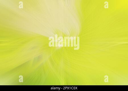 Abstract background of multicolored color. Photo rendering, abstract multicolored spectrum background, bright orange blue neon rays Stock Photo