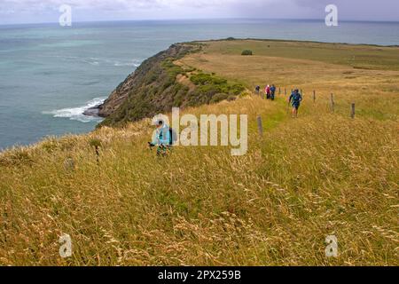 Hikers on Cape Bridgewater, part of the Great South West Walk Stock Photo