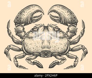 Crab hand drawn engraving style sketch. Animal vector illustration Stock Vector