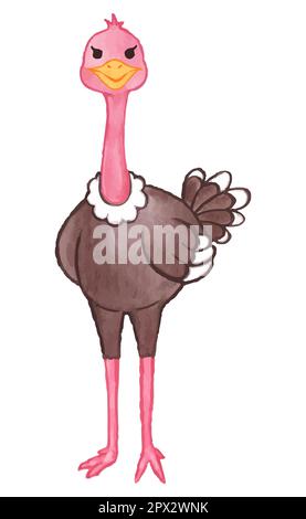 Ostrich . Watercolor paint design . Cute animal cartoon character . Standing gesture . Vector . Stock Vector