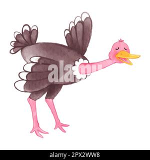 Ostrich . Watercolor paint design . Cute animal cartoon character . Running gesture . Vector . Stock Vector