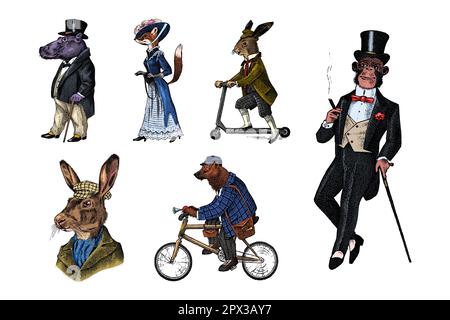 Fashion Dog. Animal characters. Brown bear rides a bike. Fox and monkey, hippopotamus and Hare or rabbit on a scooter. Antique gentleman in a cap and Stock Vector