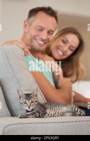 Hes our little darling. A mature couple playing with their kitten at home. Stock Photo