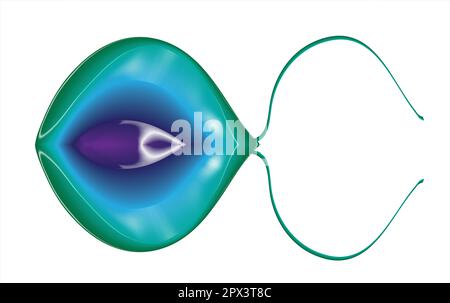 Green protozoa Stock Vector