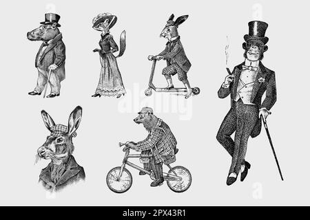 Fashion Dog. Animal characters. Brown bear rides a bike. Fox and monkey, hippopotamus and Hare or rabbit on a scooter. Antique gentleman in a cap and Stock Vector