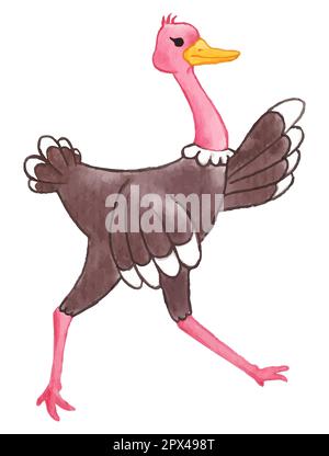 Ostrich . Watercolor paint design . Cute animal cartoon character . Running gesture . Vector . Stock Vector