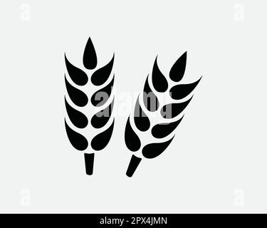 Wheat Grain Agriculture Harvest Plant Cereal Barley Seed Black and White Icon Sign Symbol Vector Artwork Clipart Illustration Stock Vector