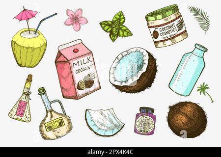 Coconut and palm leaf, Milk packaging, glass bottle, butter, cosmetic cream jar, cocktail with umbrella. Vintage style. Tropical food illustration Stock Vector