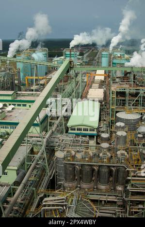 Pulp and paper mill, Riau , near Pekanbaru, Sumatra, Indonesia, Asia ...